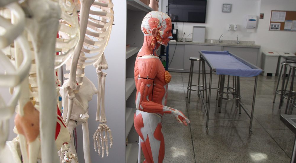 Laboratório de anatomia